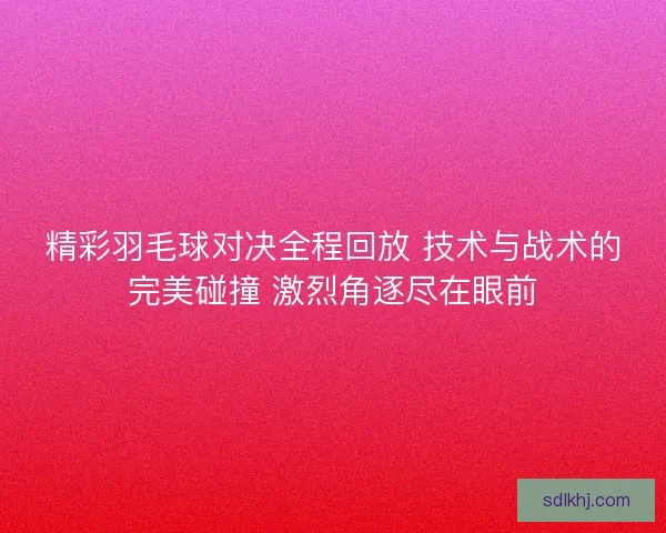 精彩羽毛球对决全程回放 技术与战术的完美碰撞 激烈角逐尽在眼前