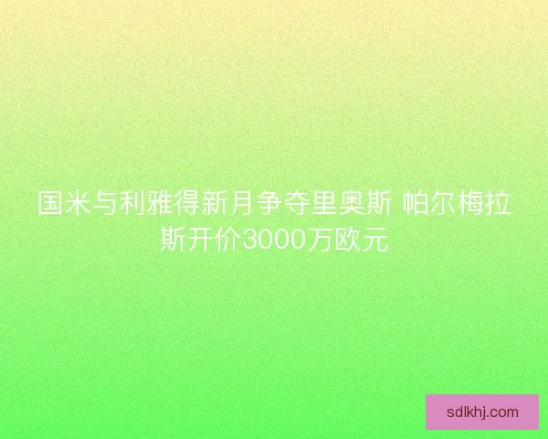 国米与利雅得新月争夺里奥斯 帕尔梅拉斯开价3000万欧元 国米与利雅得新月争夺里奥斯 帕尔梅拉斯开价3000万欧元
