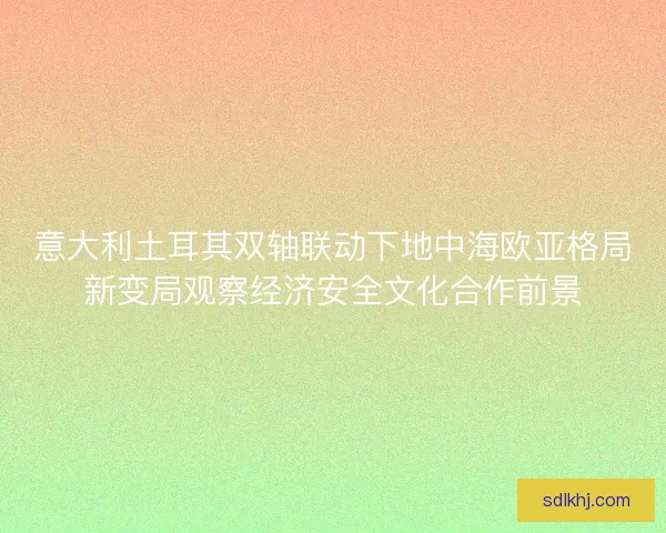 意大利土耳其双轴联动下地中海欧亚格局新变局观察经济安全文化合作前景